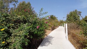 A pathway lined with dense green foliage and pink flowers, leading to a clear blue sky. - Maya (Cap Skirring)