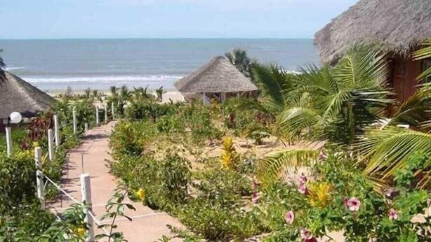 A pathway leading to thatched-roof huts with a view of the ocean. - Maya (Cap Skirring)