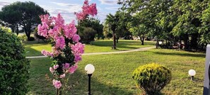 Khuôn viên nơi lưu trú