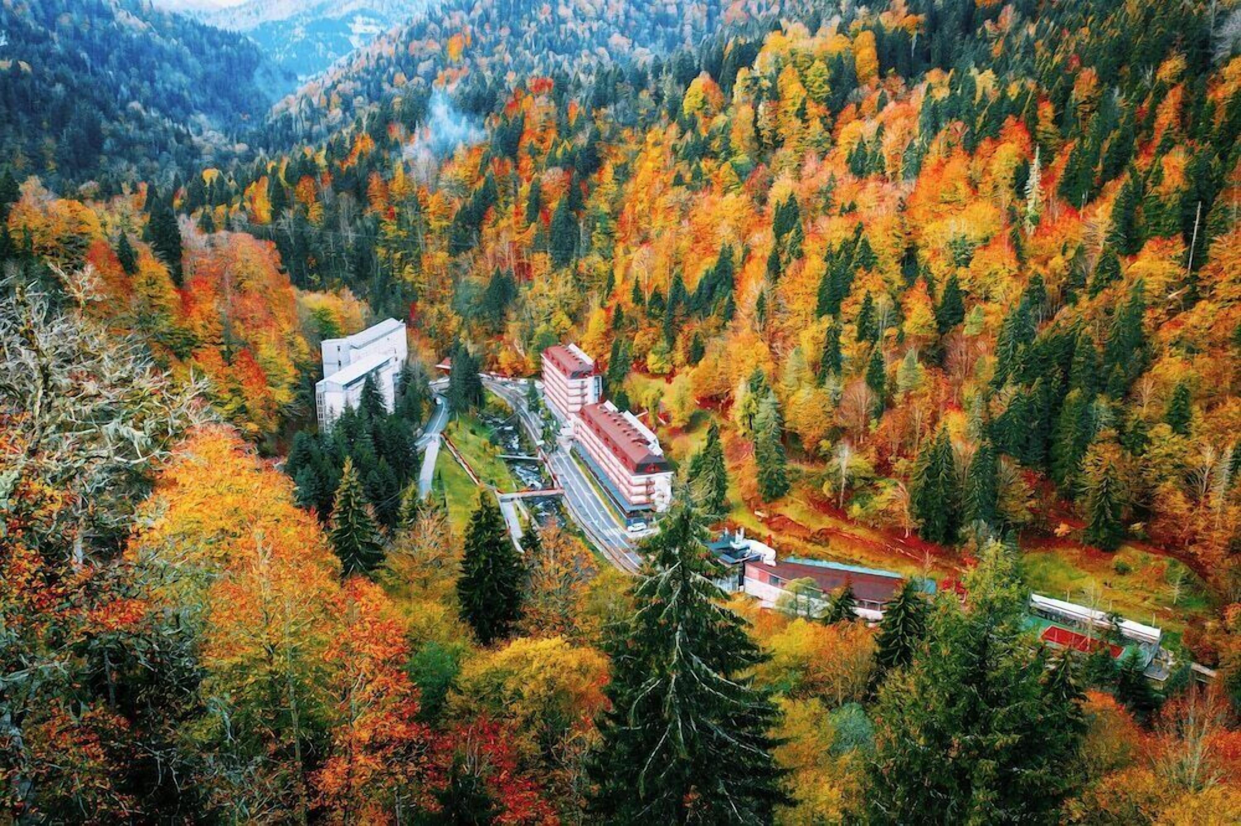 A resort with multiple buildings, a swimming pool, and a forested area.