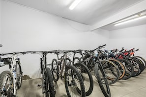 Interior - Serrano (Vielha e Mijaran)