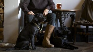 A person sitting on a chair with two dogs, a table with a mug, and a coat hanging on the wall. - The Vicarage (Crewe)