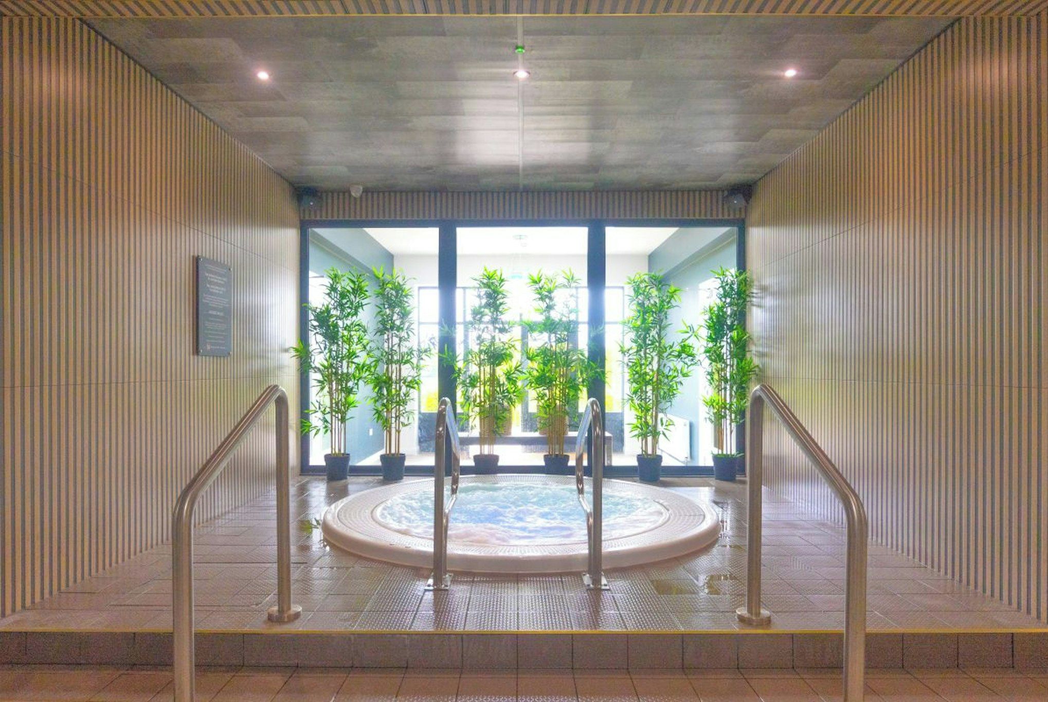 Wellness