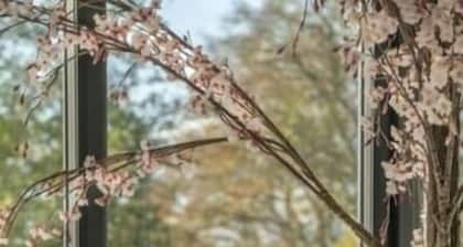 Bloomfield House Hotel Mullingar