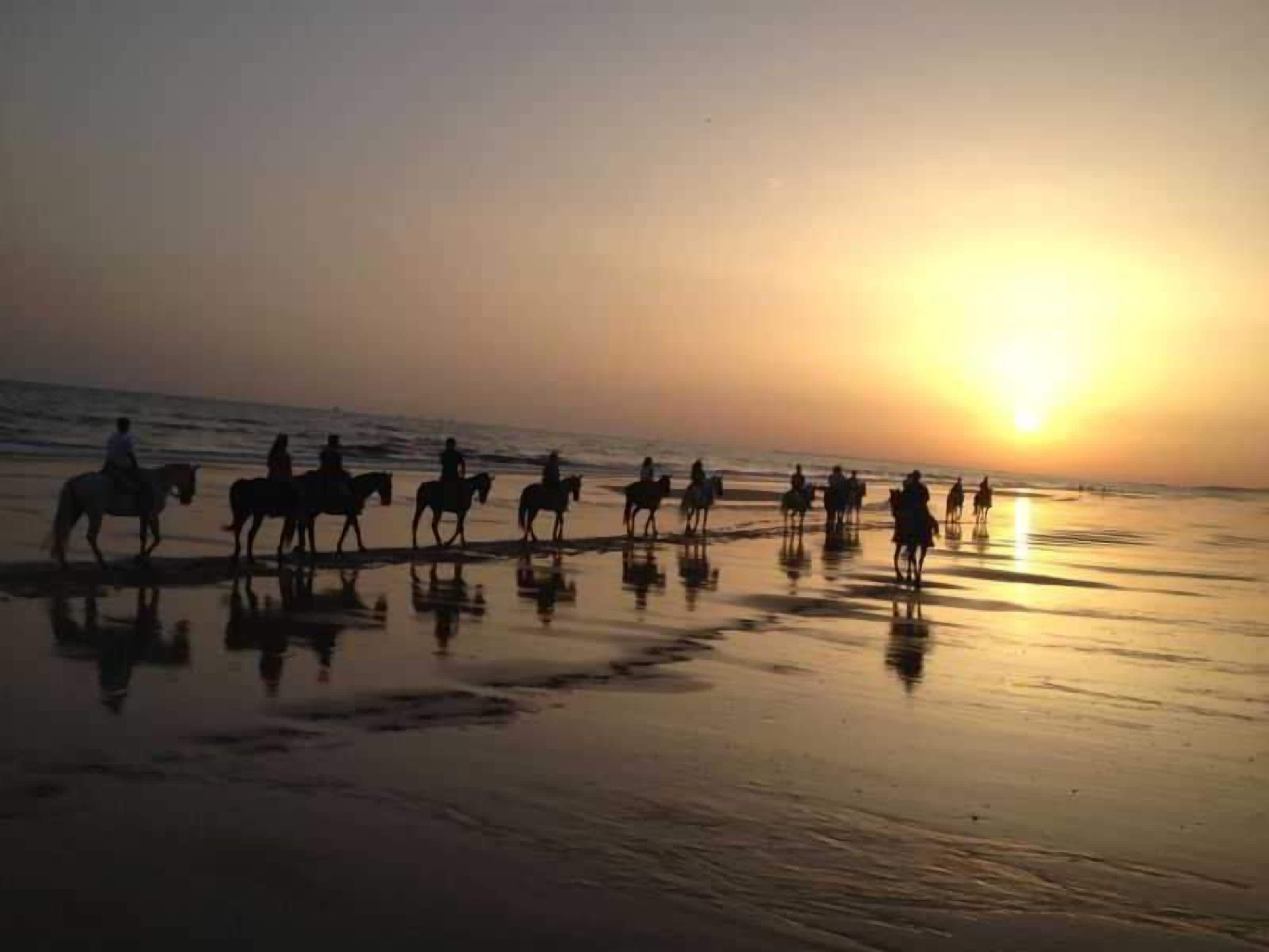Escena de playa con gente montando a caballo.