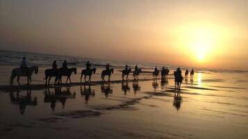 Escena de playa con gente montando a caballo.