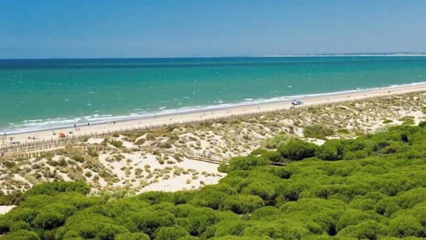 Una spiaggia con una battigia sabbiosa e un cielo azzurro terso.