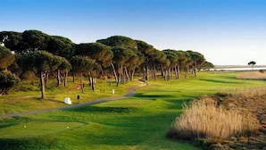 Un campo da golf con un percorso sinuoso, erba verde e alberi.
