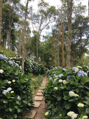 Àrea exterior de l'allotjament