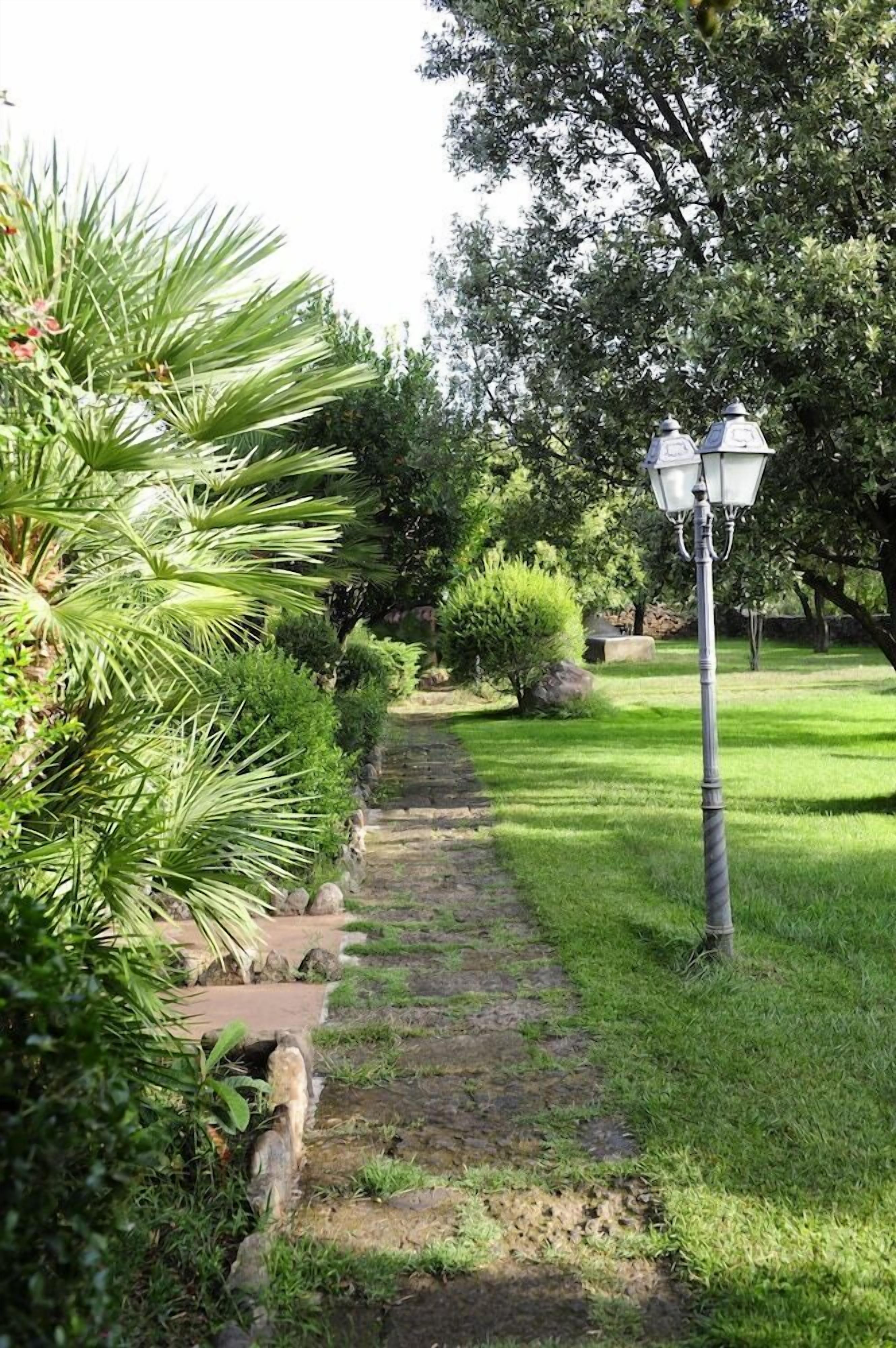 Een tuinpad omzoomd met palmbomen en struiken, dat leidt naar een stenen bank onder een lantaarnpaal.