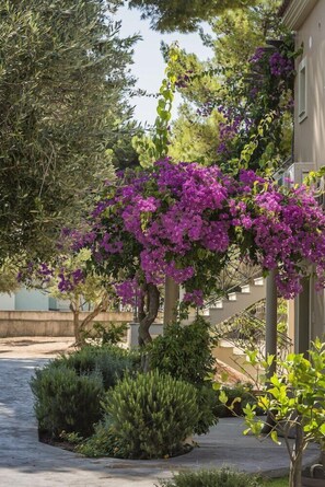 Property grounds - Thalassa Boutique Hotel (Kefalonia)