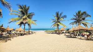 Une plage bordée de palmiers, dotée de parasols en chaume et de chaises longues.