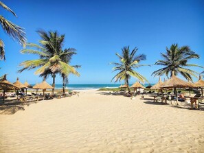 A beach with palm trees, thatched umbrellas, and sun loungers. - TUI Blue Tamala (Serrekunda)