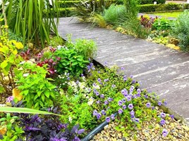 Áreas de la propiedad