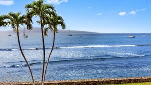 A coastal scene with palm trees, a stone wall, and boats on the water. - New Listing! Ocean Front Gem in Lahaina (Lahaina)