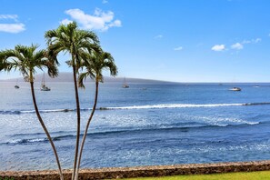 Beach - New Listing! Ocean Front Gem in Lahaina (Lahaina)