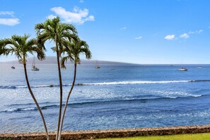 A coastal view with palm trees and boats on the water. - Ocean Front Gem in Lahaina (Lahaina)