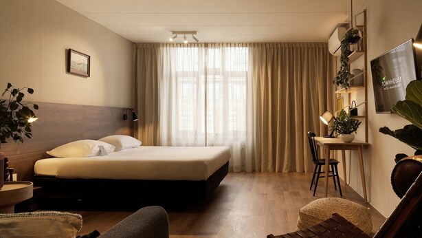 A hotel room with a bed, a desk, a chair, a TV, and a plant. - St. Martenslane Hotel Maastricht (Maastricht)