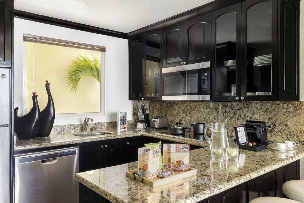 A modern kitchen with dark cabinets, granite countertops, a dishwasher, a coffee machine, and a window with a plant.