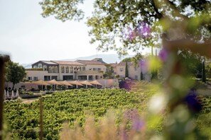 Un vignoble avec des rangées de vignes et, au fond, un bâtiment doté de nombreuses fenêtres et d’un toit en tuiles.