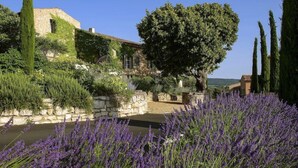 A stone building with ivy, a large tree, and lavender bushes. - Coquillade Village (Gargas)