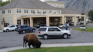 A building with a gift shop and a hotel named Mammoth Hot Springs Hotel. - Mammoth Hot Springs (Yellowstone National Park)