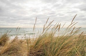 On the beach - La Via Del Mare (Dromana)