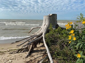 Beach - Crabapple Cottage (Essex)