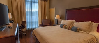 The Hotel Ithaca