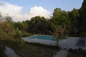 Ein rechteckiger Swimmingpool, umgeben von üppiger Vegetation, mit einer Betonplattform und Liegestühlen.