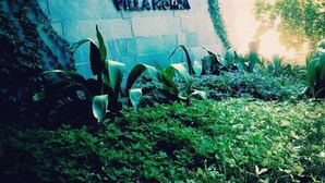 A sign for 'START VILLA KAFKA' with a stone wall and greenery. - Start Villa Morra (Asunción)