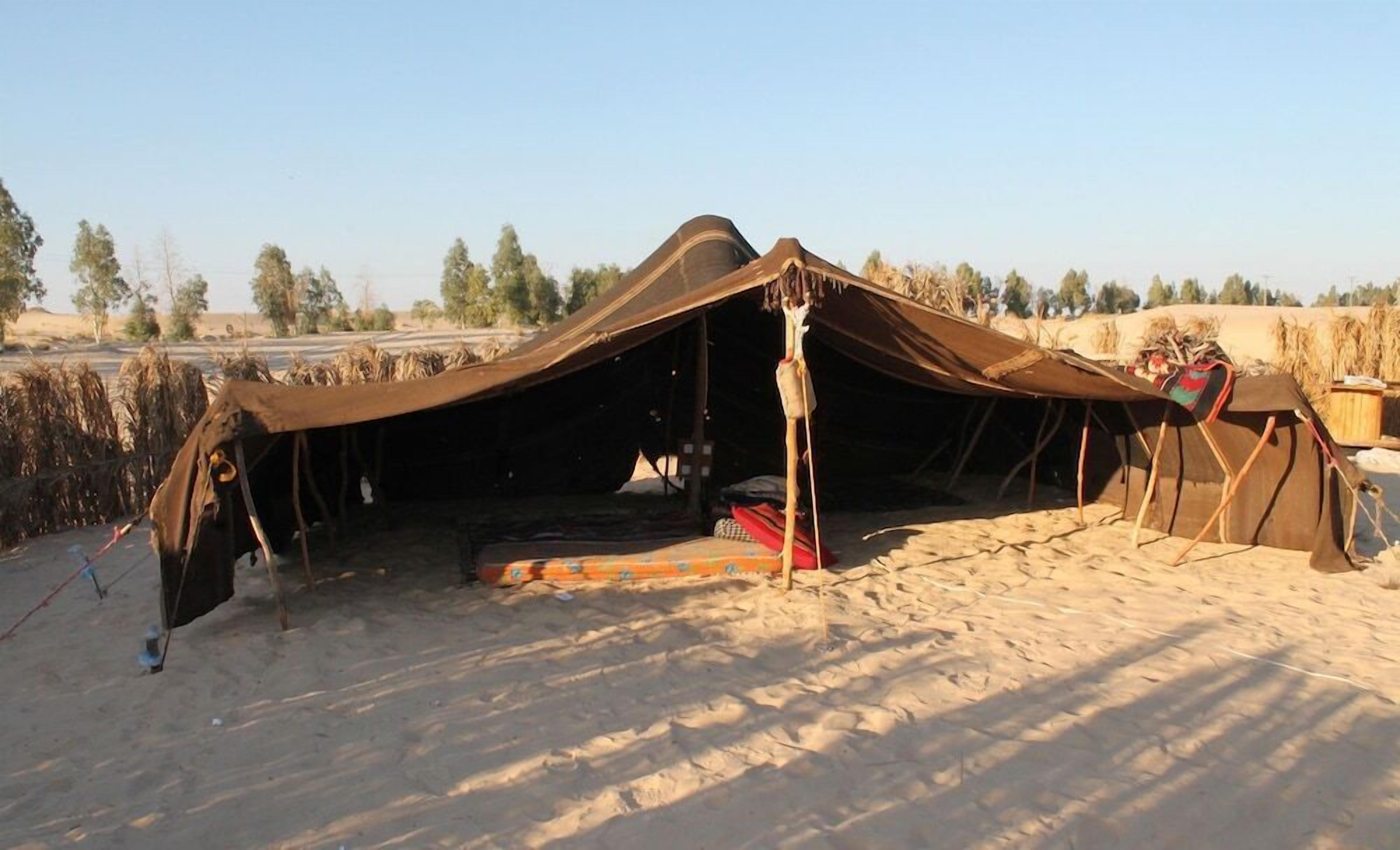 المنطقة المحيطة بالمنشأة