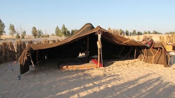 المنطقة المحيطة بالمنشأة