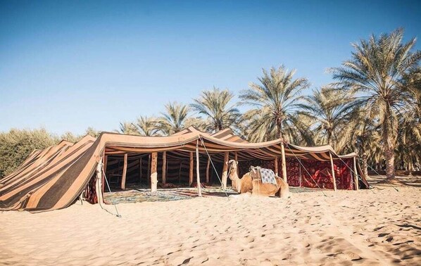 Beach - Hotel Louss El Oued (El Oued)