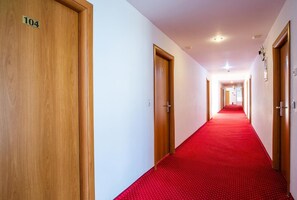 Interior - Dana (Satu Mare)