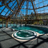 Una piscina interior con techo de cristal, rodeada por una estructura metálica.