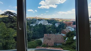 Une vue depuis une fenêtre donnant sur un paysage urbain, avec des bâtiments, des arbres et un ciel dégagé.