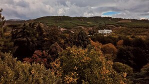 A landscape with rolling hills, dense vegetation, and a few buildings in the distance. - Hotel Avis (Sandanski)