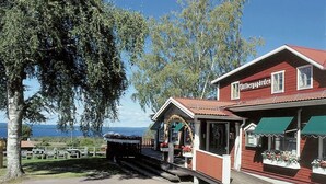 Uklassifisert bilde, 2 av 49, knapp