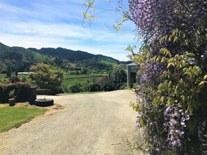 Property grounds - Chaletsterraced Gardens (Riwaka)