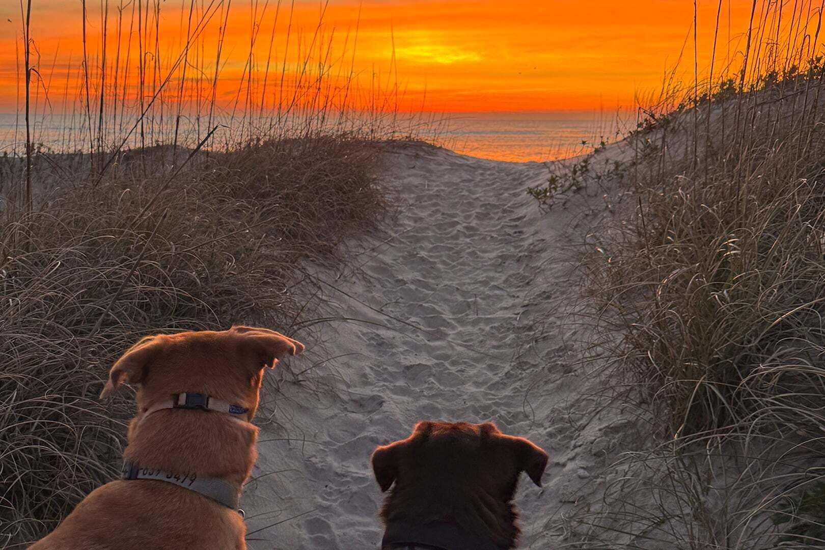 Strand