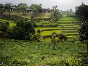 Parco della struttura