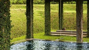 A tranquil outdoor pool area with a pergola structure, surrounded by lush greenery and a well-maintained lawn. - Tea Garden Resort (Sagalaherang)
