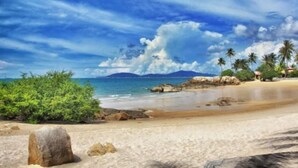 Una playa con cielo despejado, palmeras y mar tranquilo.