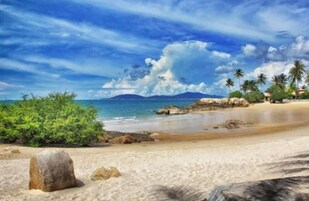 A beach with clear skies, palm trees, and a calm sea.