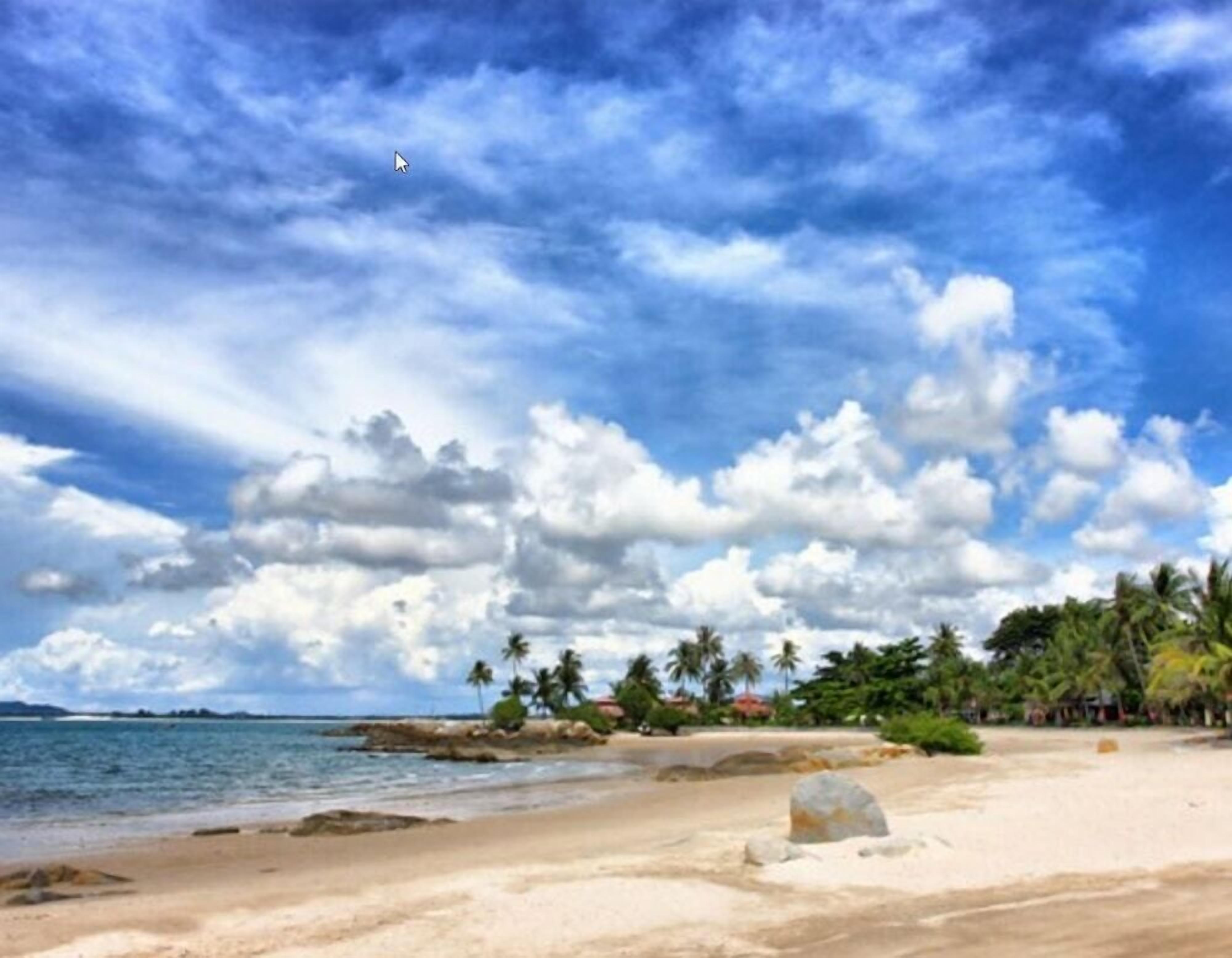 A beach with clear skies, palm trees, and a large rock in the foreground.