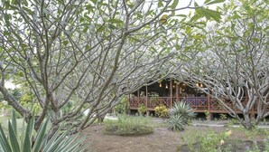 Una estructura de madera rústica con balcón, rodeada de plantas y árboles.