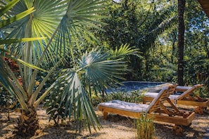 Property grounds - TURTLE HOUSE | JUNGLE RETREAT W/ POOL IN NOSARA (Nosara)