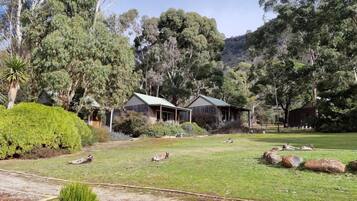 A rural property with two wooden cabins surrounded by lush greenery and trees.