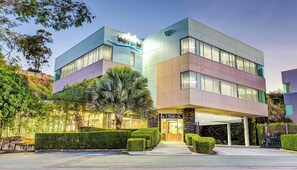 Un hôtel moderne doté d’un toit plat, de grandes fenêtres et d’un jardin bien entretenu.